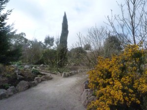 World Garden